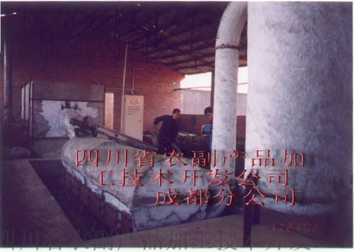 四川省農(nóng)副產(chǎn)品加工技術(shù)開發(fā)公司成都分公司 豌豆淀粉渣烘干設(shè)備的技術(shù)開發(fā)與應(yīng)用